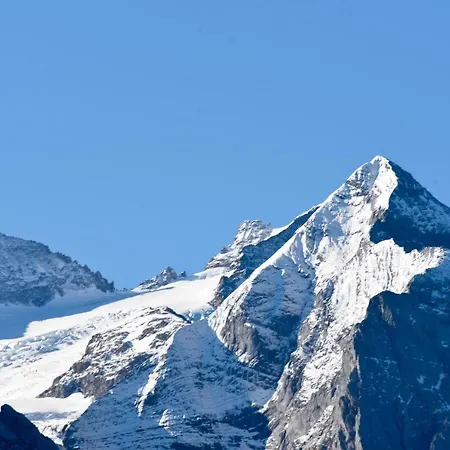 هاوس غيربي *