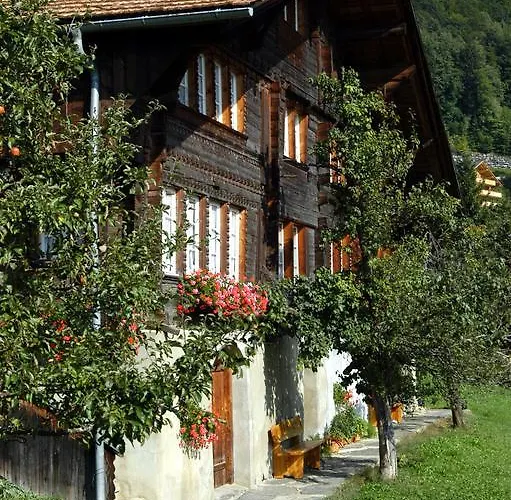 Haus Gerbi Appartement Hasliberg