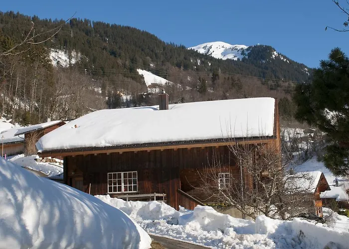 Appartement Haus Gerbi Hasliberg
