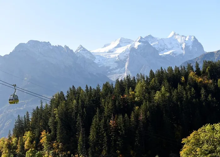 Haus Gerbi Appartement *