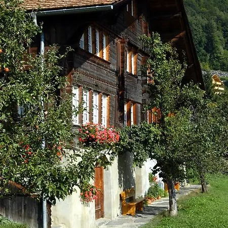 Haus Gerbi Apartment Hasliberg