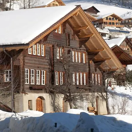 Haus Gerbi Apartment Hasliberg